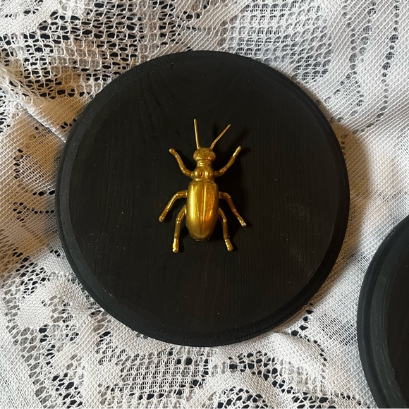 Gold Insect Plaques - Picture 4 of 6